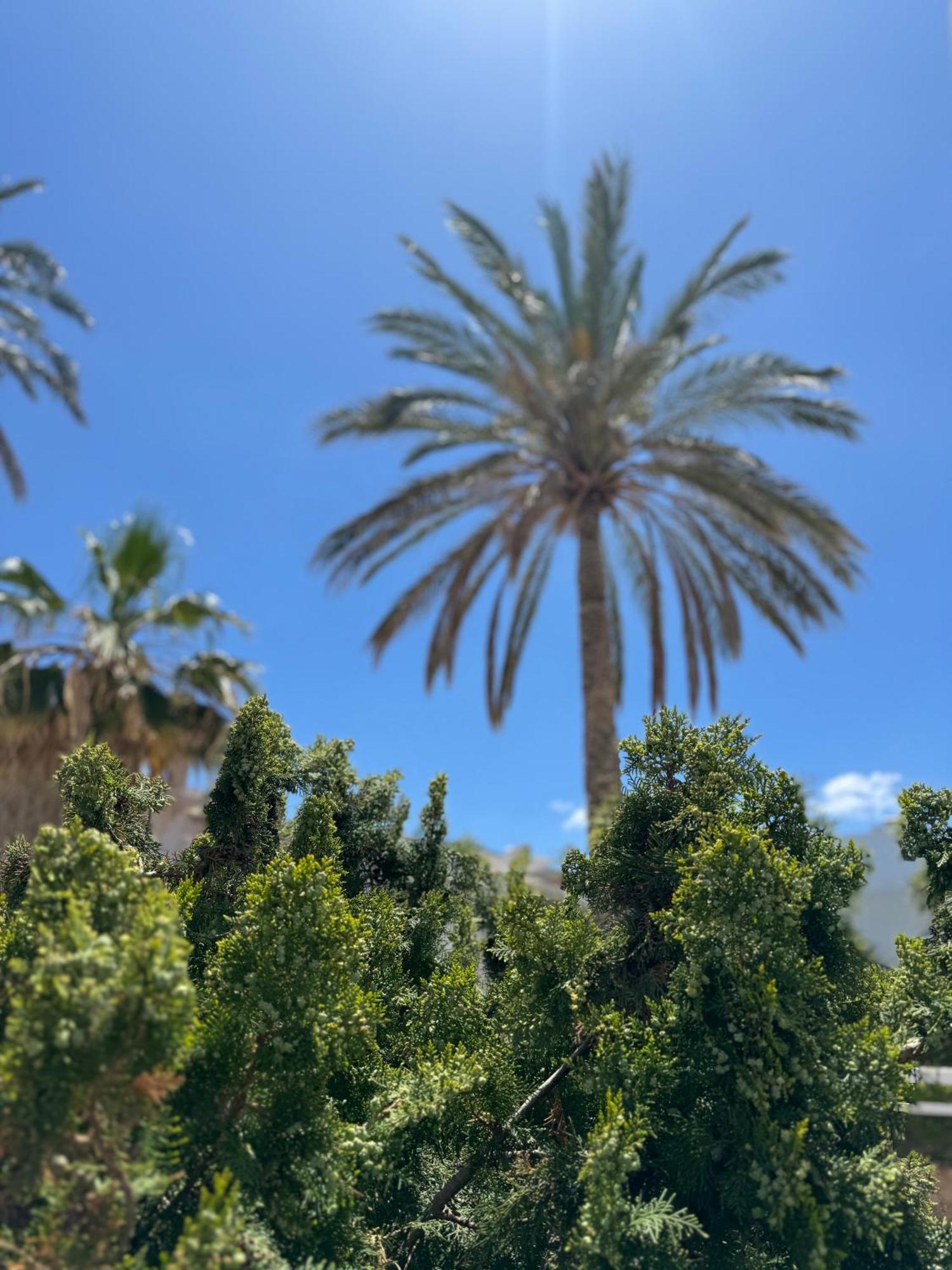 Simple Hotel Hersonissos Blue 外观 照片