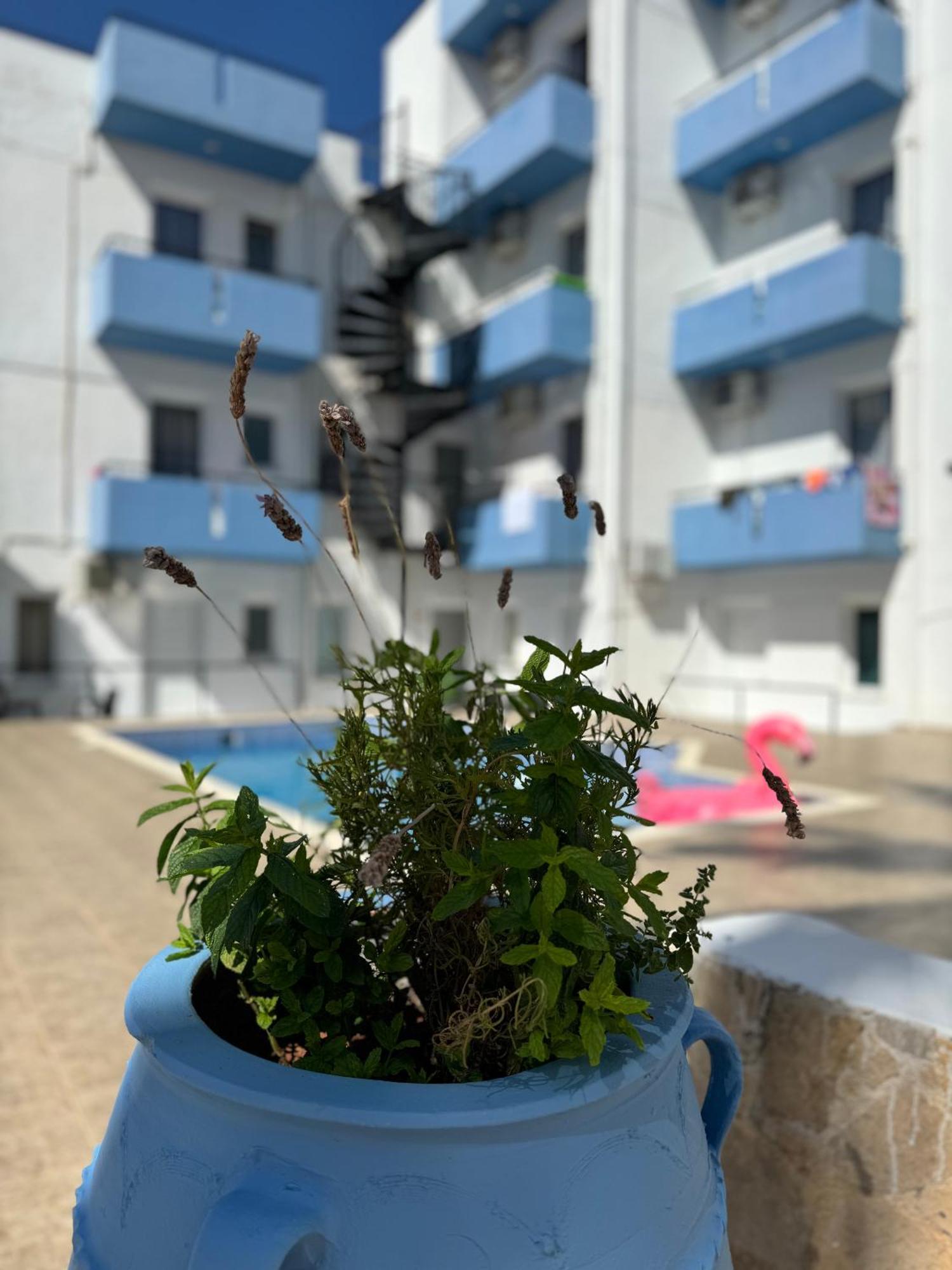 Simple Hotel Hersonissos Blue 外观 照片